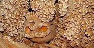 Il Nido Dei Falchi B&B 알타무라