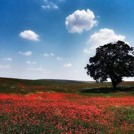 Il Nido Dei Falchi B&B