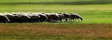 Il Nido Dei Falchi לינה וארוחת בוקר 4*